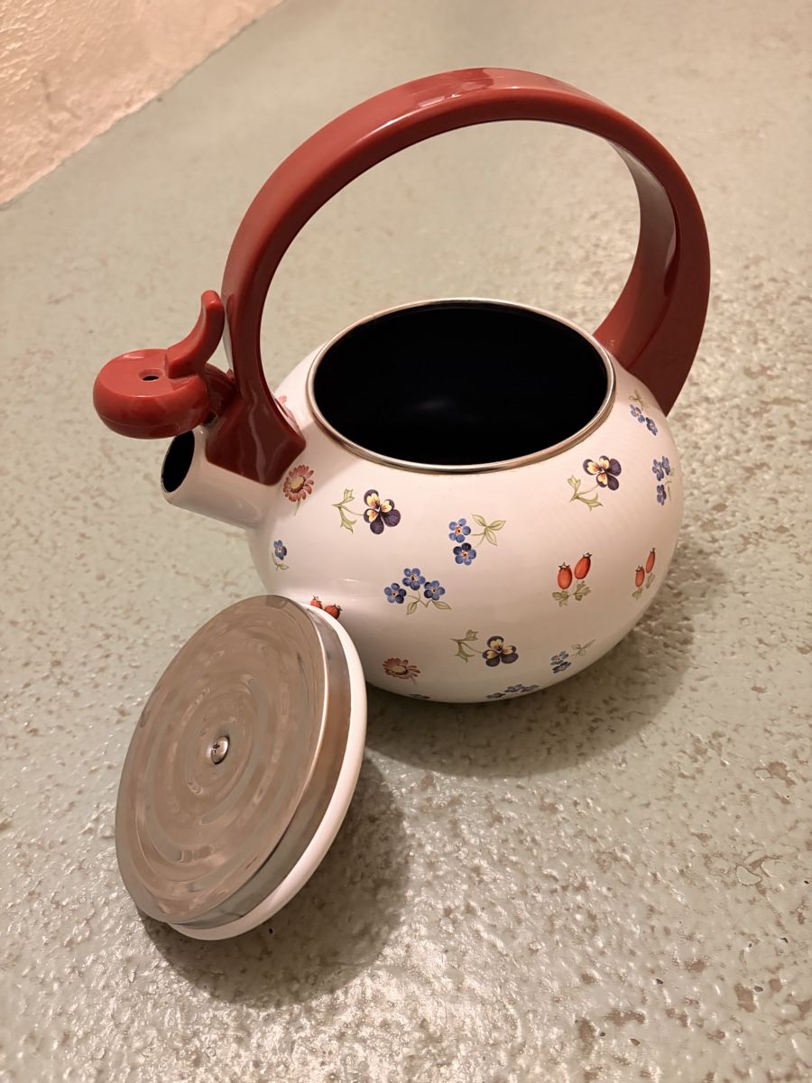 Bollitori: Villeroy & Boch Teekocher – Usato da Aarau venduto da Dotti3 1