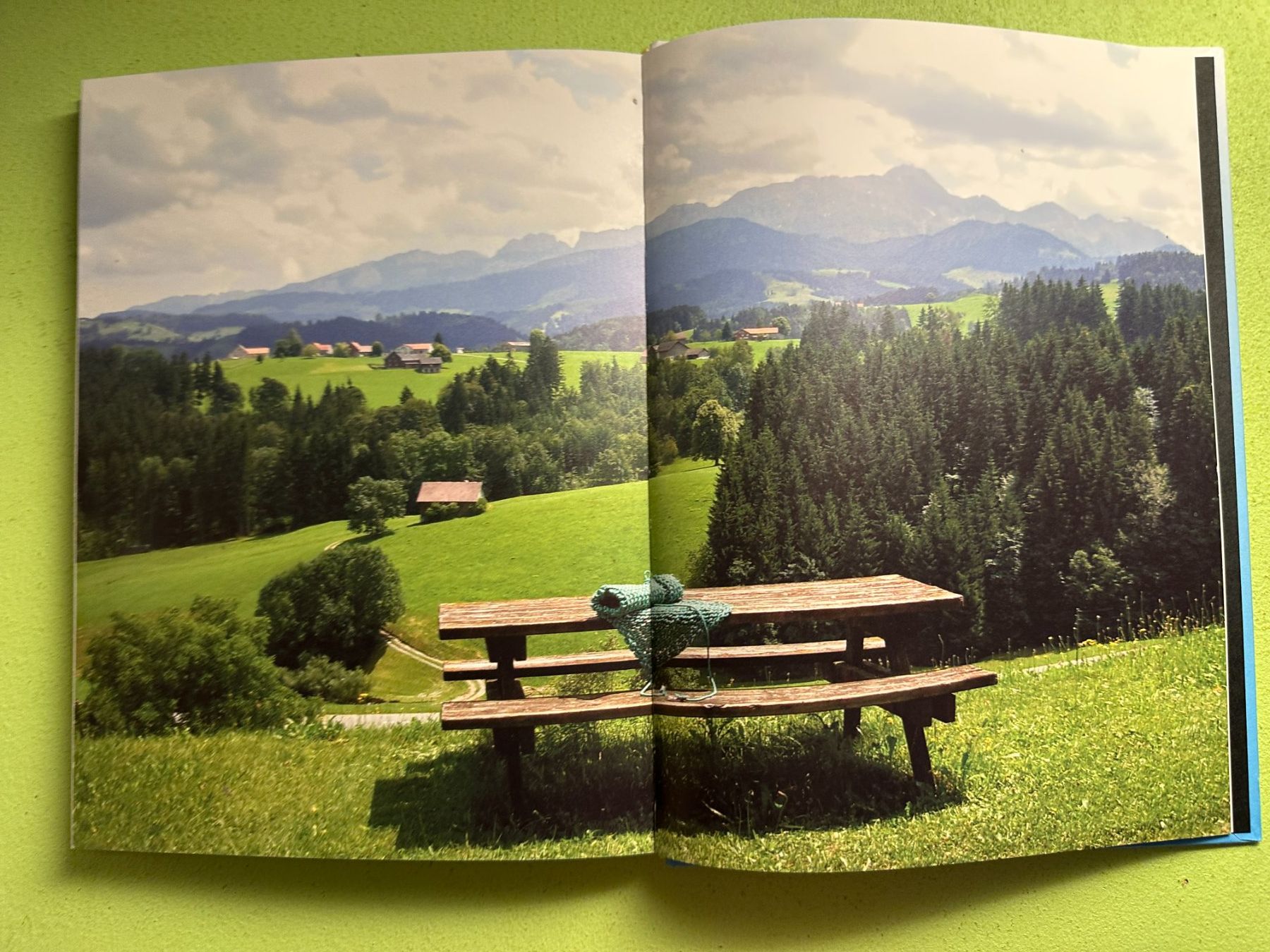 Libri: Lisa Schiess: Odradek oder Die Laufmasche im System. d/e – Usato da Zürich venduto da allp 8