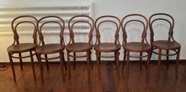 6 antike Bugholzstühle Joseph Hoffmann 