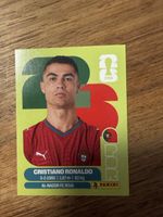 Panini Fifa POR 15