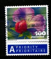 2011 - Gemüseblüten / Kiefelerbse