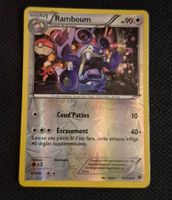 RAMBOUM REVERSE 81/124 VINTAGE 2016 XY IMPACT DES DESTINS FR