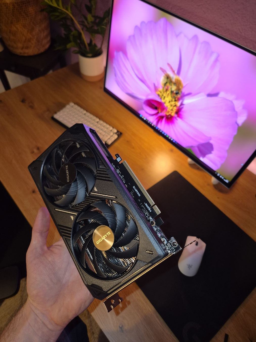 Gigabyte Grafikkarten: Gigabite RTX 5060ti 8gb Windforce OC – Gebraucht aus Ittigen von Jorhody 1