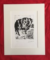 Pablo Picasso   Buffon  "Le Belier"