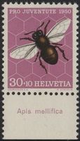 30 Rp. Biene mit TAB (Apis mellifica)