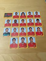 Panini Spanien 2010 18Stk.