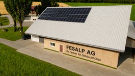 Trapezblech/ Holzabdeckung/ Scheunendach/Restposten