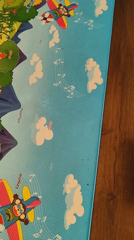 Tapis de jeu: Dwinguler Spielmatte 190x130 – D'occasion à Biberist par Debbi1989 3