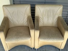 Leolux Sessel, Premium Dutch Design!
