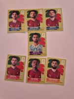 Panini Sammelbilder Bundle Portugal 