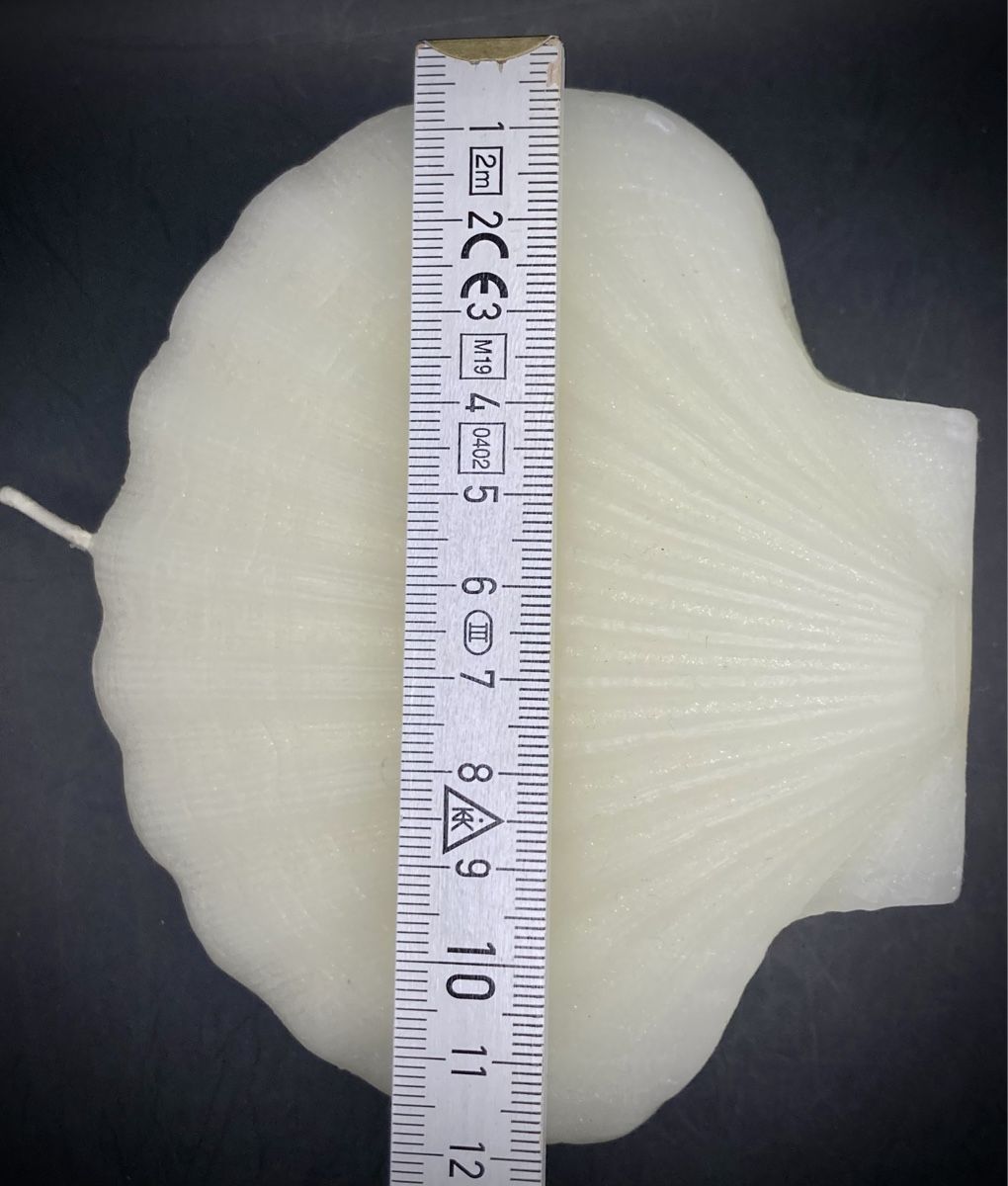 Candele: Kerze Muschel Form weiss, neu – Nuovo (secondo la descrizione) da Vinelz venduto da Viewfinder84 1