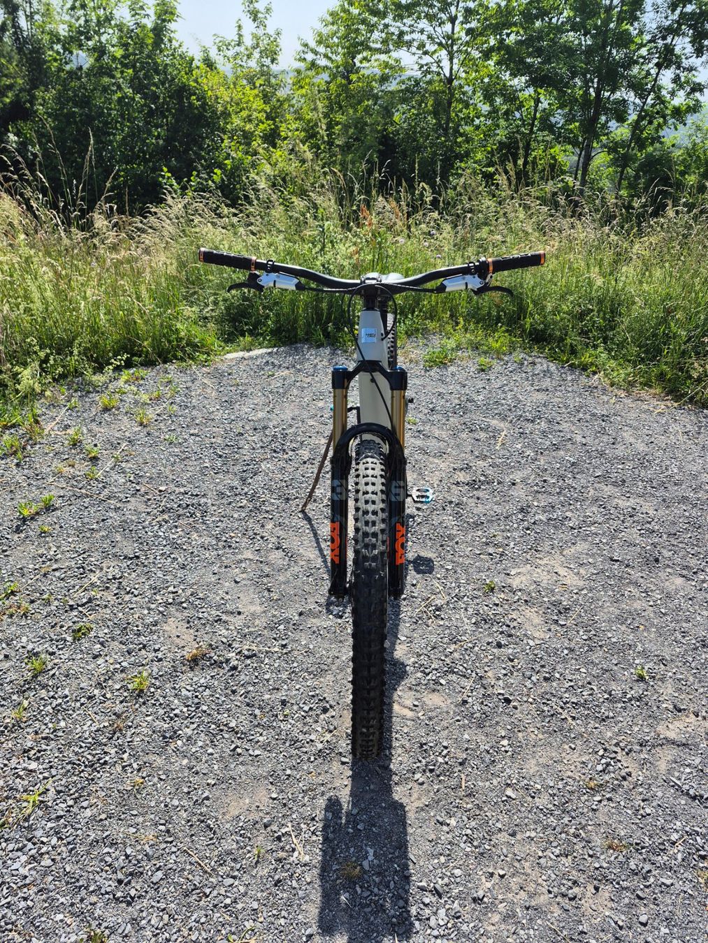 Santa Cruz Biciclette: Santa Cruz Heckler SL – Usato da Uitikon Waldegg venduto da sjijmon 3