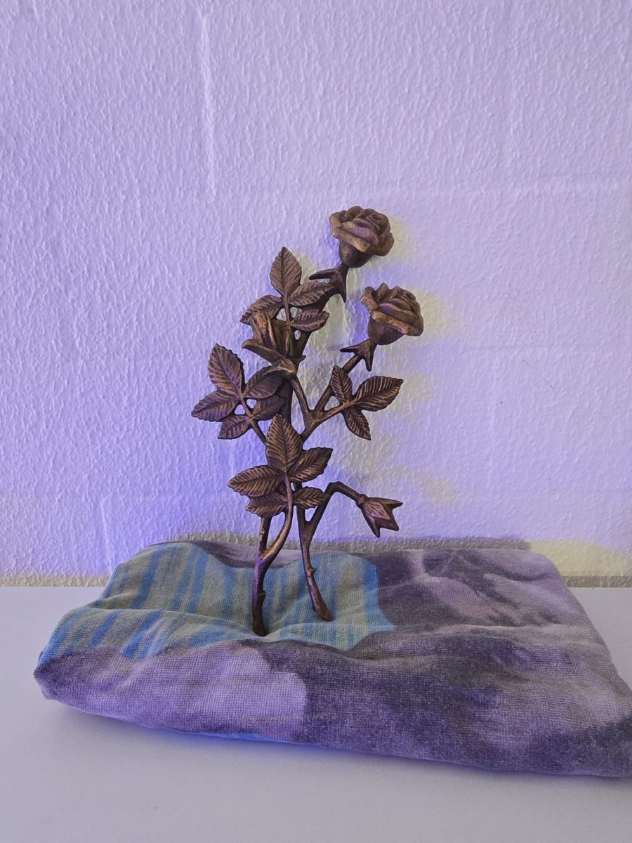 Tutte le decorazioni: Kupfer Rose – Usato da Niederweningen venduto da Saphime2213