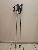Bâtons de ski Leki DEMO 42" (105 cm)
