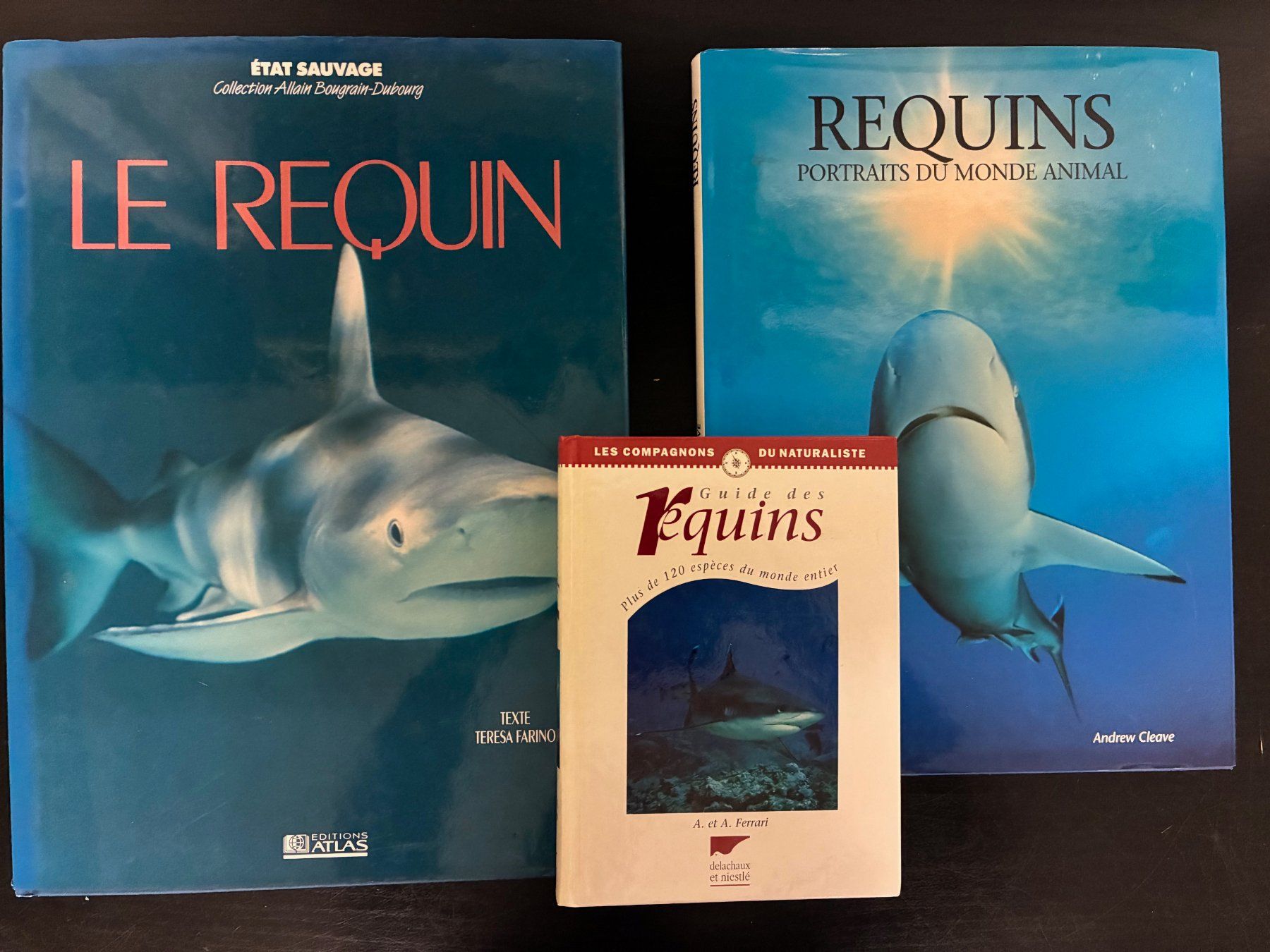 Libri: Requins du monde – Usato da Moutier venduto da lebadin