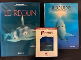 Requins du monde