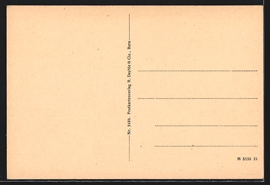 Cartoline postali: AK Reichenbach, Blick auf die Kirche – Usato da Berlin venduto da bartko-reher 1