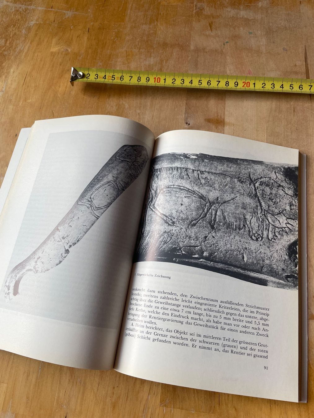 Libri: Geschichte- Kultur der Eiszeitjäger Kesslerloch – Usato da Sent venduto da ManuelB07 4