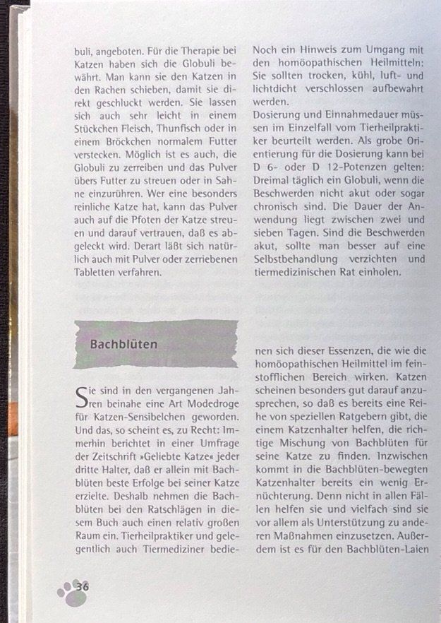Libri: Katzenprobleme - Problemkatzen – Nuovo (secondo la descrizione) da Sarnen venduto da Livres 7