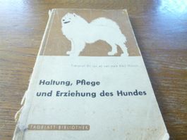 Haltung Pflege und Erziehung des Hund Tier Wolf Abrichten