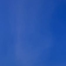 Profile image of manzanitaa