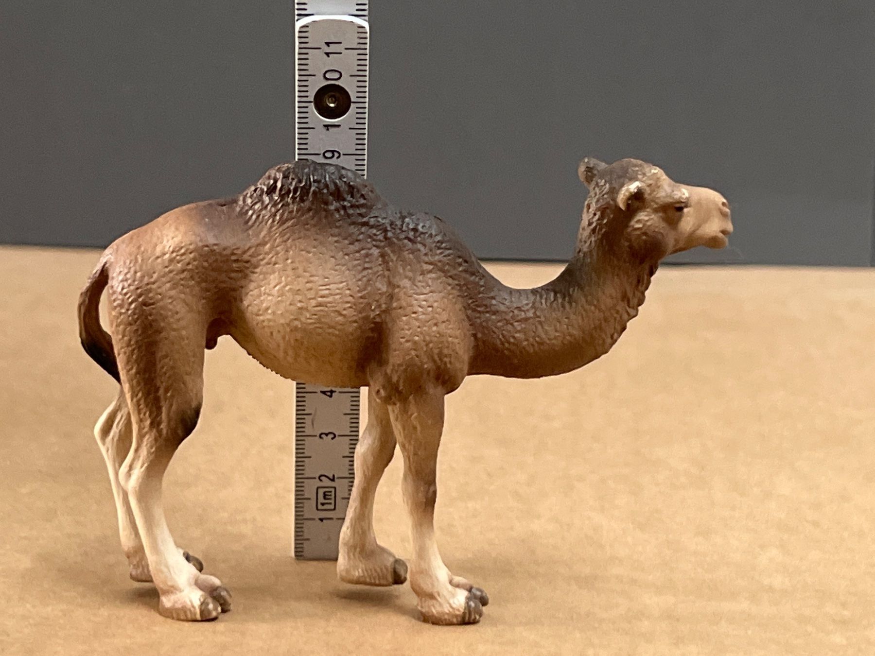 Schleich Sonstiges Spielzeug & Basteln: Schleich Dromedar Stute und Fohlen Kamel – Gebraucht aus Ennetbaden von  9