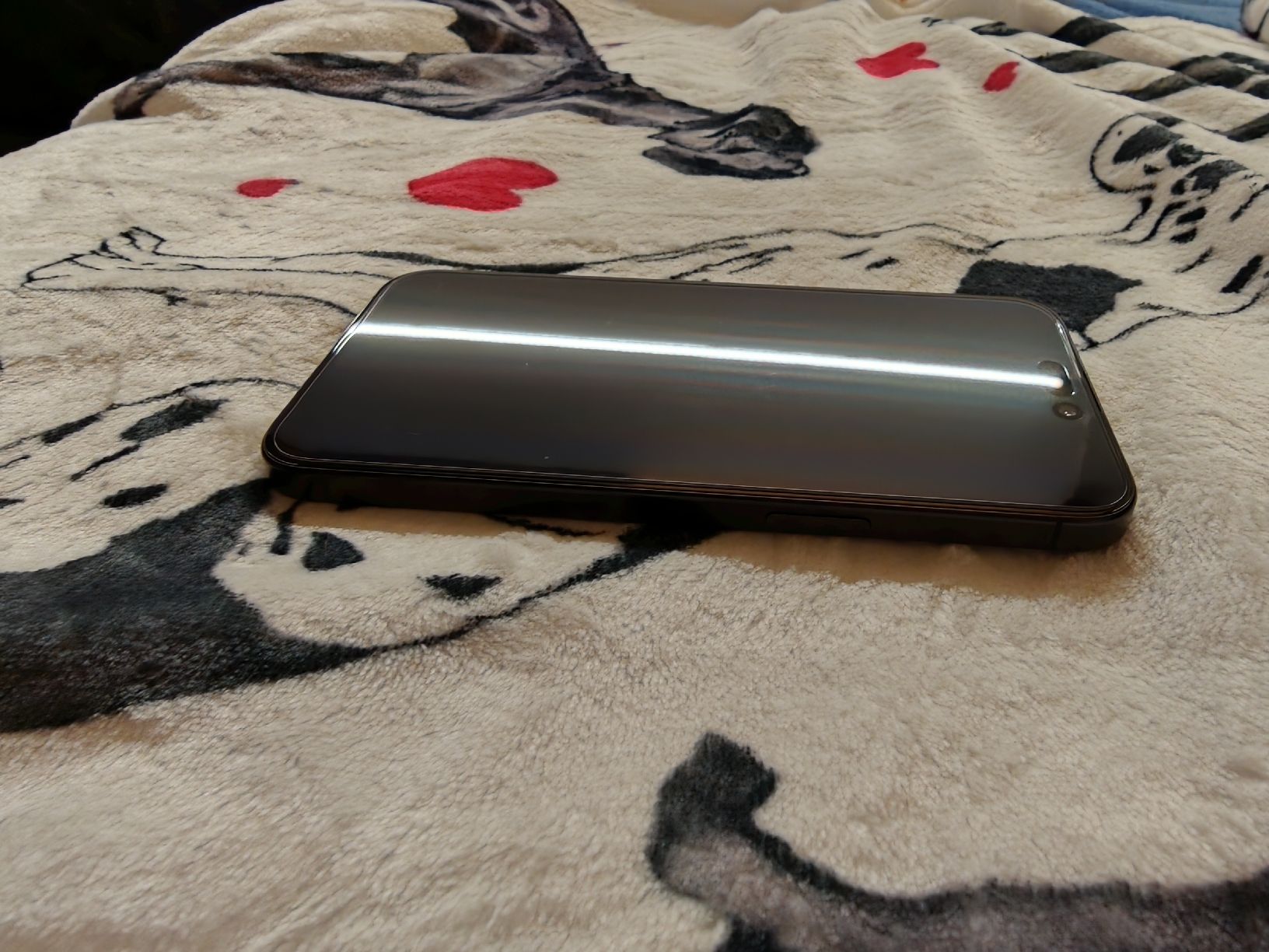 Apple Handys / Smartphones: iPhone 15 Pro Max OVP – Gebraucht aus Bowil von Doggenpfote 1
