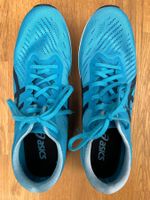 ASICS Metaracer Carbonlaufschuh