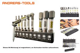 Inbus Bit Set 10tlg magnetisch von Yang Fan Tool die Profis