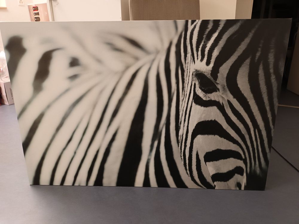 Zebra IKEA BILD: A Comprehensive Guide to the Digital Art Frame that Brings Your Photos to Life