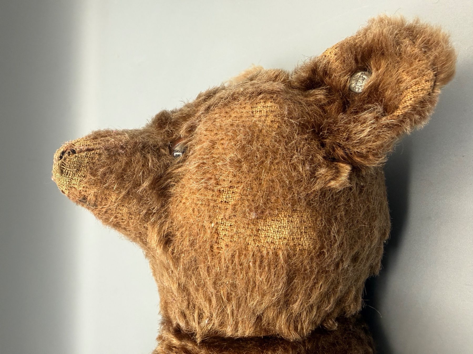 Steiff Giocattoli: Antiker Steiff Teddybär um 1920-1925 – Usato da Ueberstorf venduto da Brocandi 6