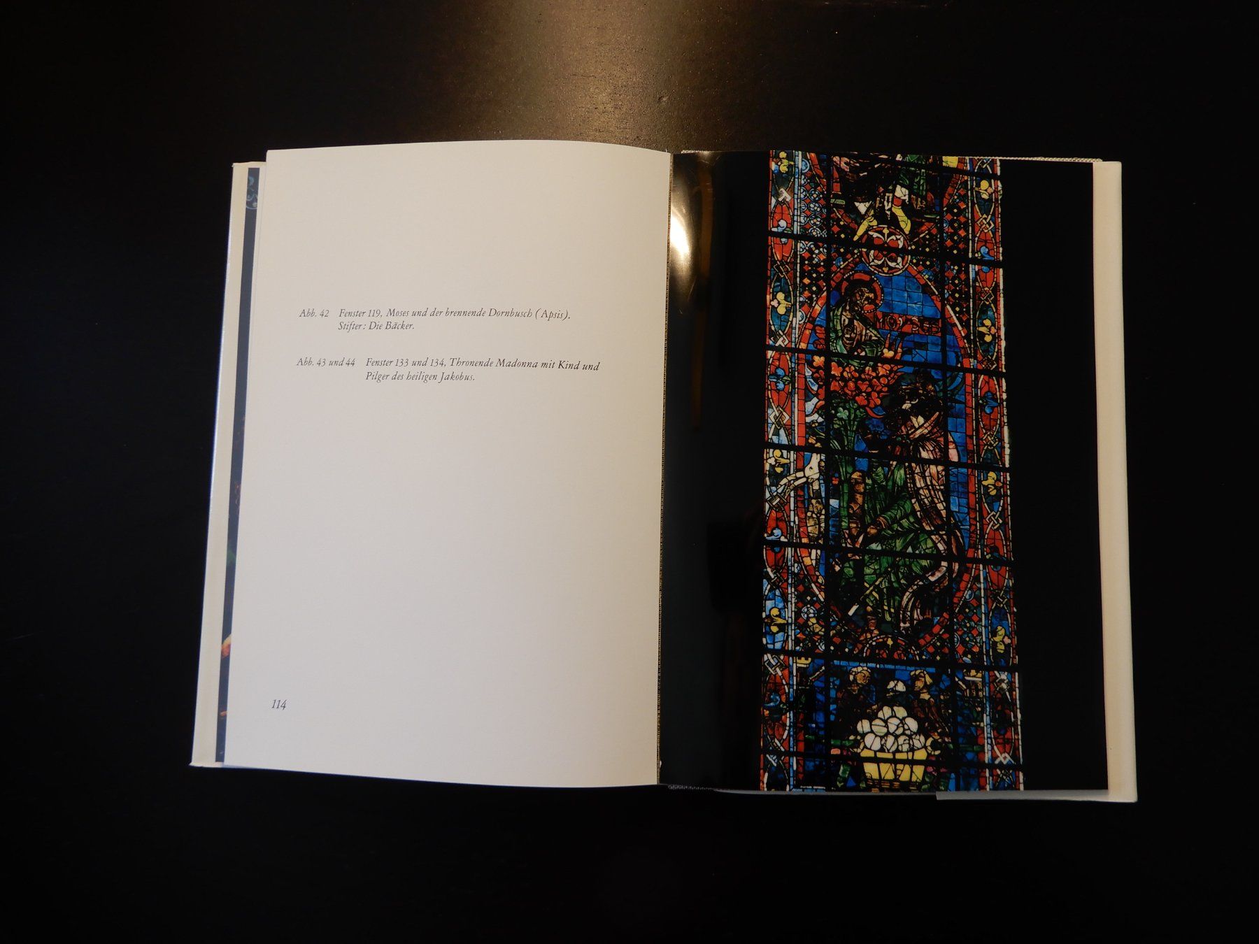 Libri: Kathedrale von Chartres - Glasmalereien Buch – Usato da Erstfeld venduto da Mario_boe0 8