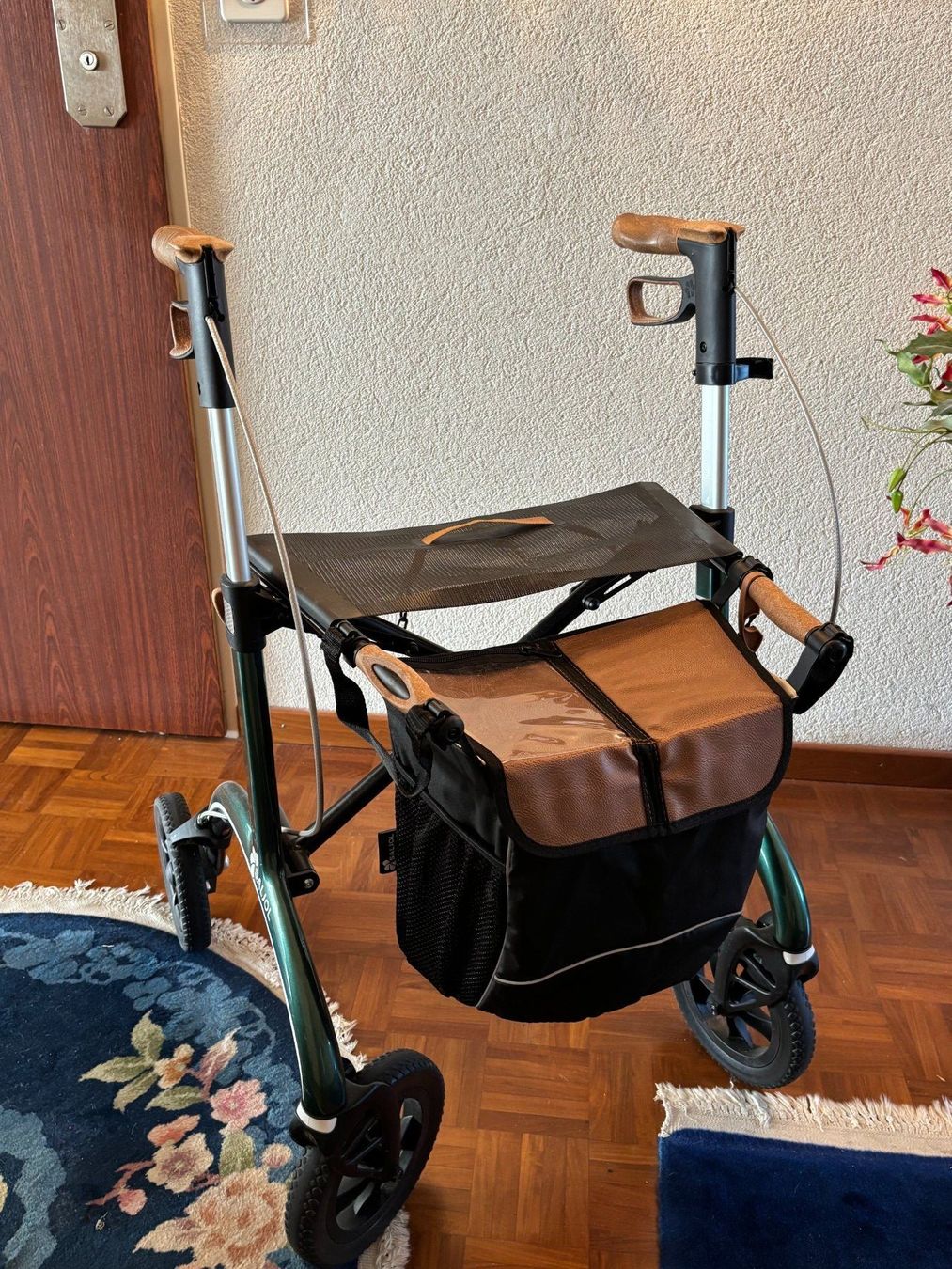 Gehhilfen: Rollator Carbon Saljol – Gebraucht aus Augst BL von cbu_wym9 2