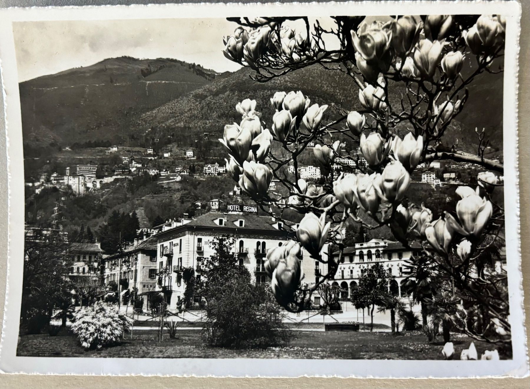 Ansichtskarten: Locarno, Hotel Regina – Gebraucht aus Frauenfeld von Merk52