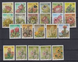 Südafrika 1977: Proteusgewächse **