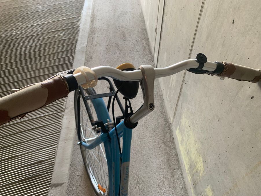 Totem Velos: Fahrrad Totem Classic – Gebraucht aus Laufen von tannbibi 5
