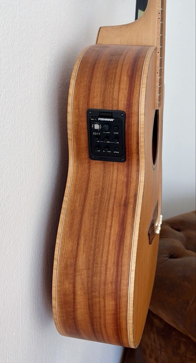 Strumenti musicali: Western Gitarre Washburn WG55SCENS – Usato da Schlieren venduto da maybe5 3