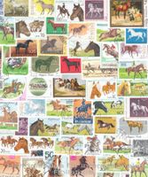 50 verschiedene Pferde auf Briefmarken Motivbriefmarken