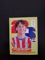panini 2026 par 14