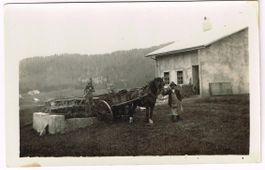 Landwirtschaft/Misten 1920 mit Fuhrwerk VD/NE?