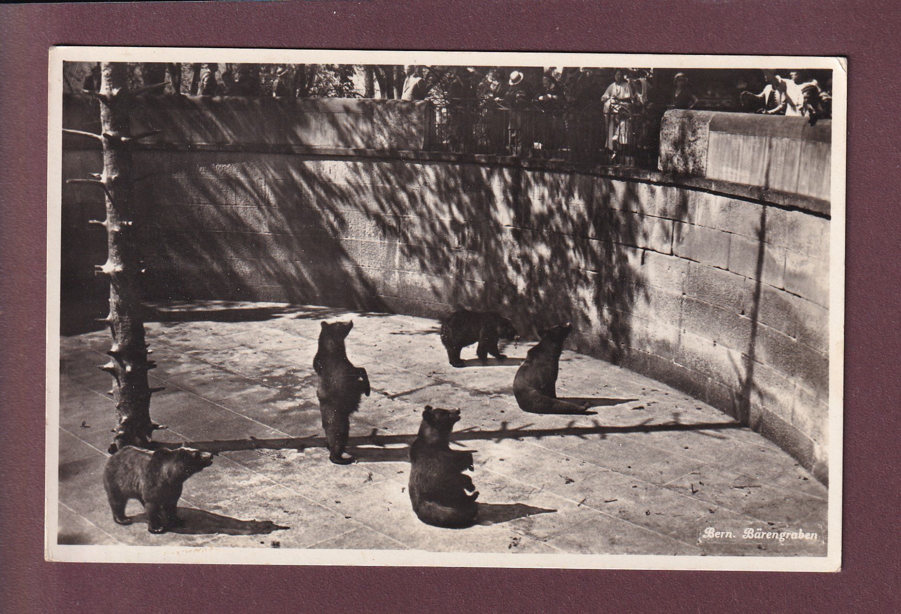 Cartoline postali: BERN - Bärengraben - 1938 – Usato da Pully venduto da nicecards