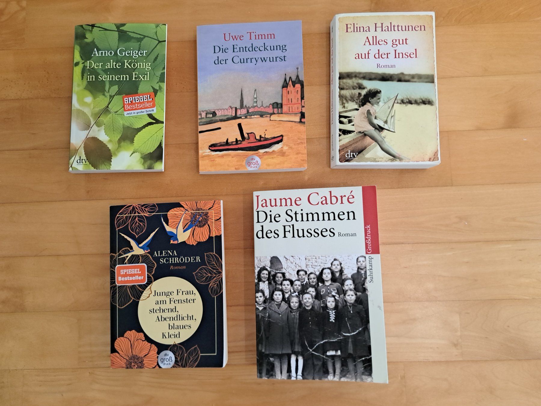 Libri: 5 Bücher in grosser Schrift – Usato da Bellikon venduto da cebas23