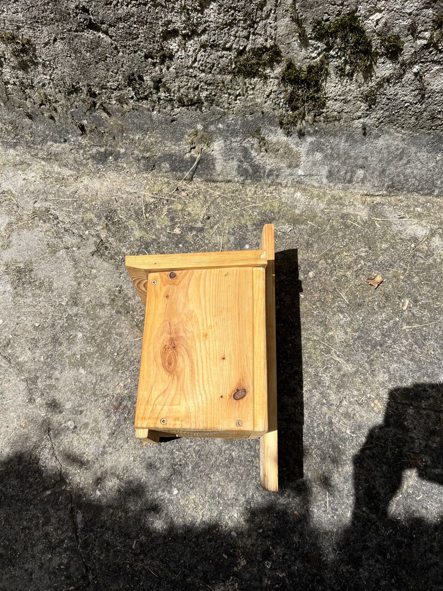 Casette per uccelli: Vogelnistkasten – Nuovo (secondo la descrizione) da Moosleerau venduto da Tami8 1