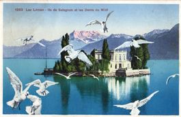 Lac Leman - Ile de Salagnon