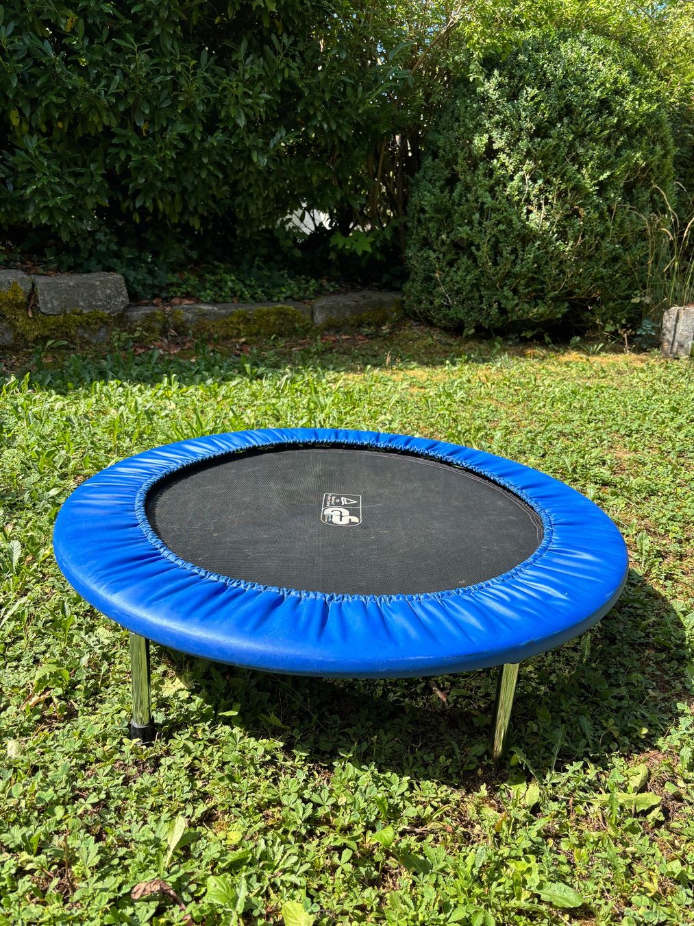 Trampolini: Mini Trampolin – Usato da Winterthur venduto da gallus71