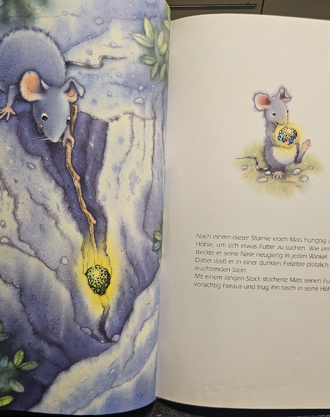 Libri: Kinderbuch "Matz und dir Wundersteine" mit zwei Enden – Usato da Grabs venduto da ricolino12 1