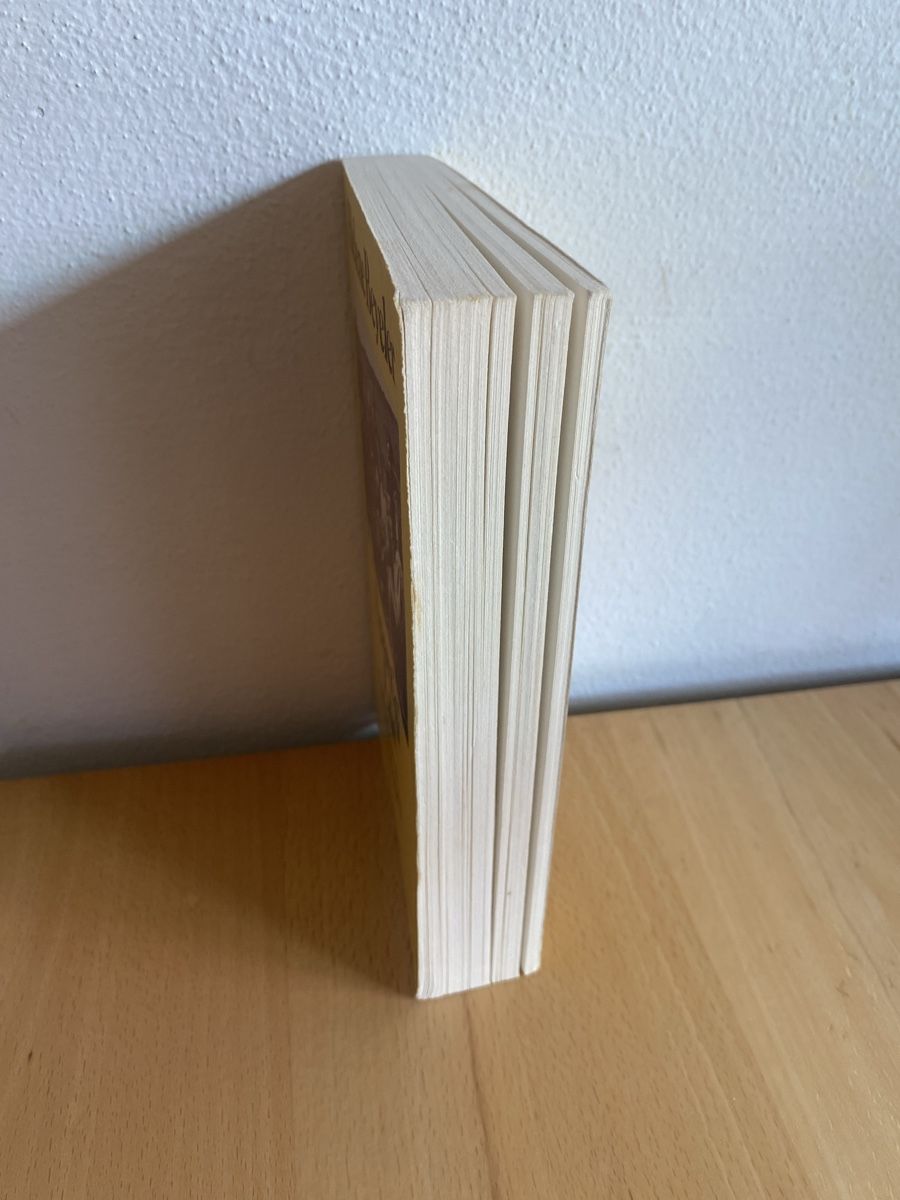 Bücher: Apartigi Lüt - Helene Beyeler  – Gebraucht aus Schwarzenburg von Michellu 3