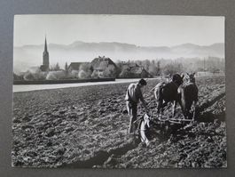 LANDWIRTSCHAFT - BAUER BEIM PFLÜGEN