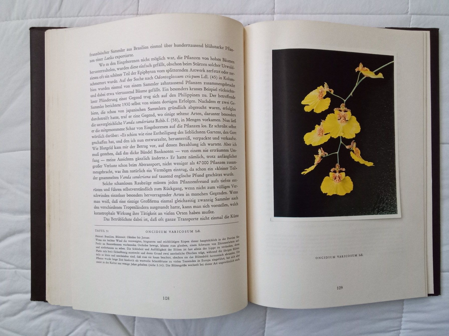 Bücher: Silva Buch Orchideen – Gebraucht aus Zürich von tol_b7c7 6