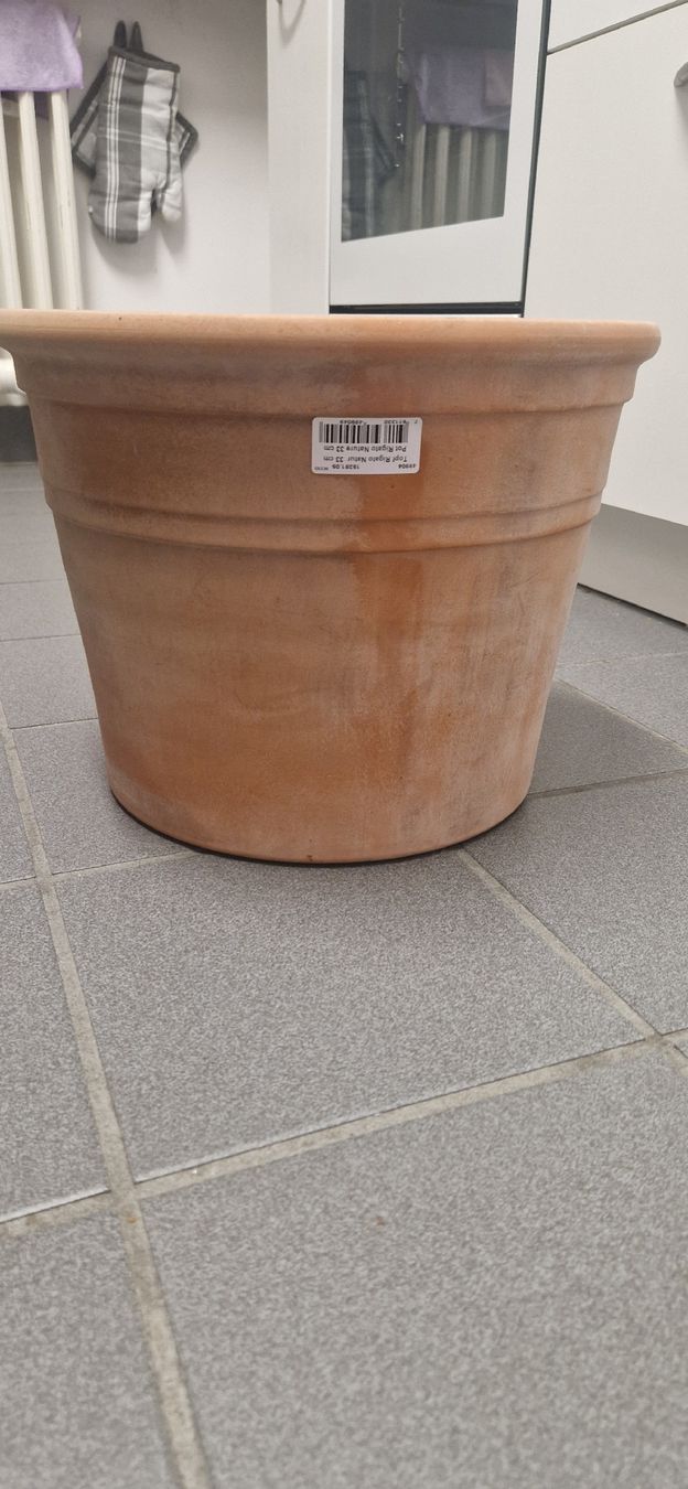 Vasi per fiori: Runder Blumentopf – Usato da Amriswil venduto da Ster_nli88